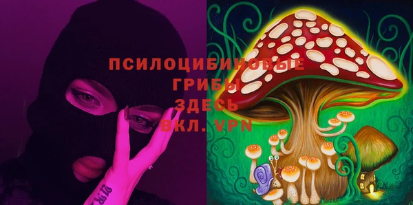 мескалин Алексеевка