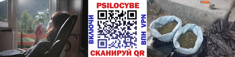 hydra зеркало  Нововоронеж  Галлюциногенные грибы мухоморы  даркнет сайт 